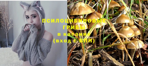 mdpv Иннополис