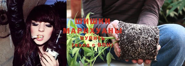 mdpv Иннополис