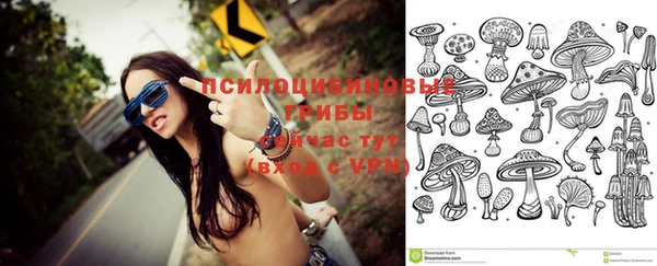 apvp Каменка
