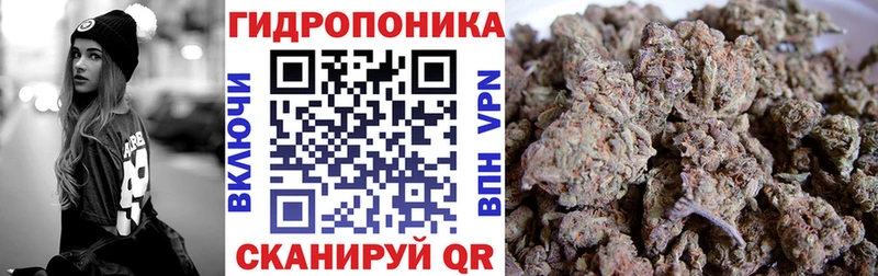 наркота  Кировград  Канабис MAZAR 